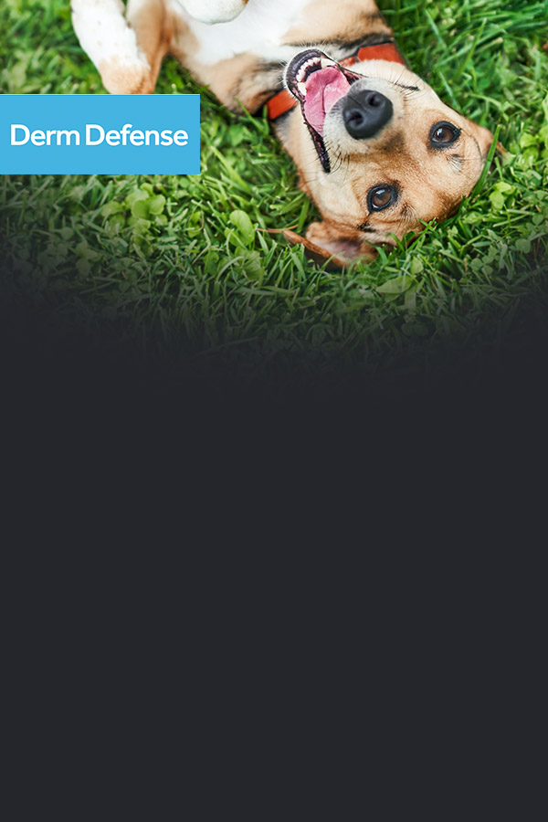 Derm Defense Canine