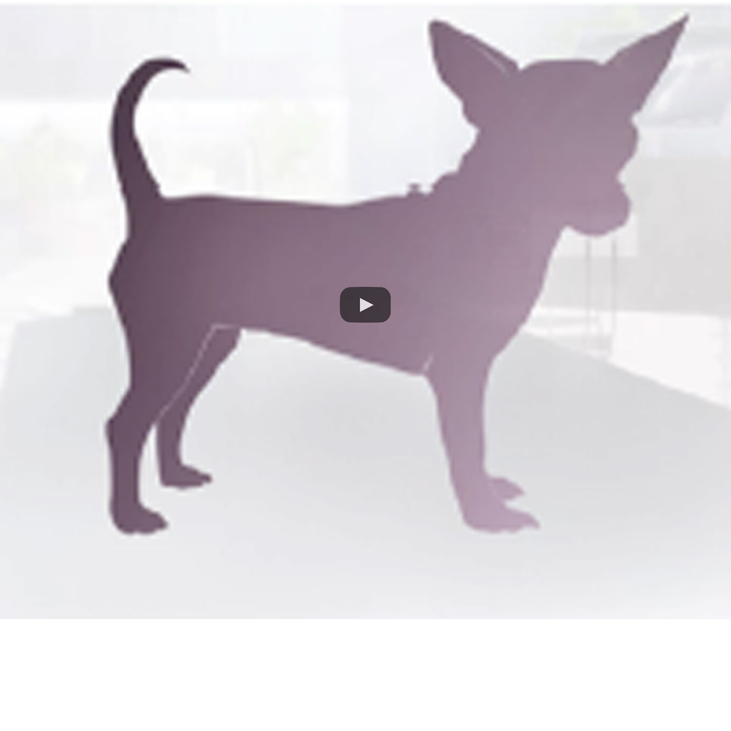 gastro-2_video-thumb